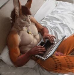 abs anthro bed biceps bottomwear chains clothed clothing computer digital_media_(artwork) ear_piercing ear_ring electronics fingers flaccid fur furniture genitals gold_(metal) gold_chain gold_jewelry hair humanoid_genitalia humanoid_penis jewelry lagomorph laptop leporid lying male mammal muscular muscular_anthro muscular_male nikkimory on_back on_bed pecs penis piercing rabbit ring_piercing shorts solo topless topless_anthro topless_male translucent translucent_clothing