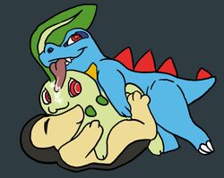 chikorita cyndaquil pokemon tagme totodile