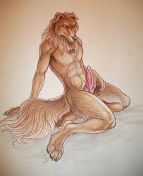 1boy anthro canine erection fur furry male male_only penis rukis solo