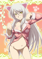 bakemonogatari black_hanekawa cat_ears catgirl edit female hanekawa_tsubasa hayashi_custom large_breasts long_hair monogatari_(series) nekomimi pussy silver_hair tagme voluptuous yellow_eyes