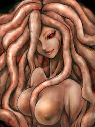 1girls artist_request berserk big_breasts breasts demon demon_girl female green_hair humanoid large_breasts long_hair mature nipples nude red_eyes slan solo tentacle tentacle_girl villainess white_skin