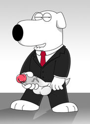 20th_century_fox balls brian_griffin canine clothing erection family_guy fox_corporation jerseydevil male male_only penis solo vein