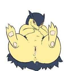 anus color female female_only front_view fur furry pokemon pokemon_(species) pussy python13rp sildre solo straight_hair typhlosion vulva