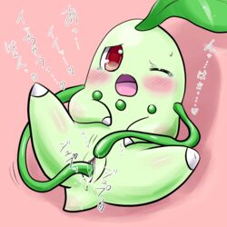 anus chikorita female female_only pokemon red_eyes renge tail vulva wince