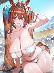 Daiwa Scarlet (Umamusume) Rule 34 Image