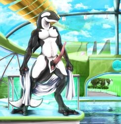 animal_genitalia anthro cetacean dolphin erection genital_slit genitals hi_res hybrid male mammal marine nude oceanic_dolphin orca penis pool smexyoryx solo standing tapering_penis toothed_whale towel