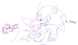 amy_rose furry ghost_girl hearlesssoul hedgehog lah mammal night_of_the_werehog sonic_(series) sonic_the_hedgehog sonic_the_werehog werehog