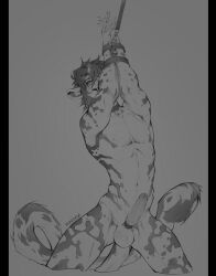 2026 anthro balls biped cheetah claws digital_drawing_(artwork) digital_media_(artwork) erection felid feline fingers front_view fur genitals hair kneeling looking_at_viewer male mammal momobeda monochrome nude nude_anthro nude_male penis smile solo tail teeth