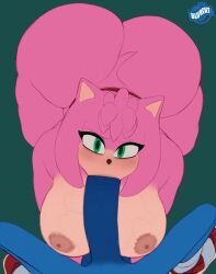 amy_rose blowjob blu_rent fellatio female pink_skin sex