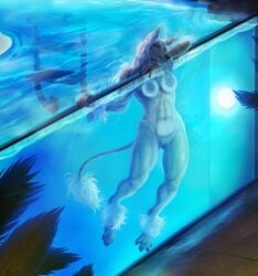 against_glass anthro breasts canine chinese_crested_dog claws digitigrade female hair ladder long_hair looking_at_viewer mammal navel nipples nude partially_submerged pig_(artist) plant pussy sixty smile solo swimming_pool tail_tuft toe_claws tuft water wet