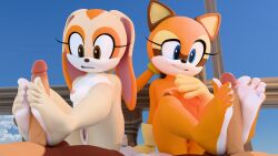 2boys 2girls blender bunny cream_the_rabbit dekaranger feet female foot_fetish foot_focus footjob human interspecies male marine_the_raccoon nude penis rabbit raccoon render sega soles sonic_the_hedgehog_(series) toes