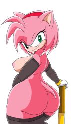 amy rose from sega by elangelote