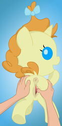 1girls anus cub friendship_is_magic my_little_pony ohohokapi pumpkin_cake_(mlp) pussy tagme young