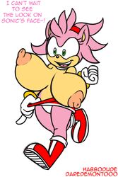 amy_rose anthro big_breasts bouncing_breasts breasts daredemon7000 female female_only fur habbodude hedgehog huge_breasts name_drop solo sonic_(series) unaligned_breasts