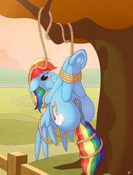 2015 absurd_res anatomically_correct anatomically_correct_pussy animal_genitalia anus blush bound cutie_mark dock equine equine_pussy female fence feral friendship_is_magic hair hi_res hooves looking_at_viewer mammal multicolored_hair my_little_pony outside pegasus pussy rainbow_dash_(mlp) rainbow_hair ratofdrawn restrained rope solo tree underhoof wings