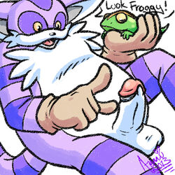 amuzoreh big_the_cat froggy_(sonic) fur furry male male_only sonic_(series) tagme