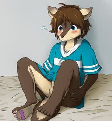 anthro balls blush bottomless brown_fur brown_hair clothing furry furry_only hair male male_only morenatsu nervous pawpads penis shirt shun solo spreading teenager young