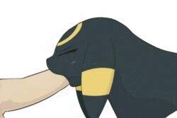 animated eeveelution fellatio feral insomniacovrlrd pokemon pokemon_(species) tagme umbreon