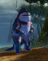 guild_wars guild_wars_2 male male_only quaggan solo tagme