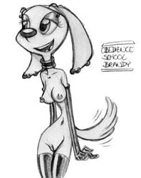 alternate_breast_size anthro brandy_&_mr_whiskers brandy_harrington breasts canine collar disney disney_channel dog female female_only fur furry furry_breasts furry_tail king-cheetah mammal monochrome nipples piercing smile solo standing tagme tail tailwag toon_disney trollie_trollenberg