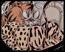 gigantic_ass gigantic_thighs leopard leopard_spots lion rat rogywantscoffee serval tiger