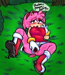amy_rose blush boots dress female furry gloves gold_bracelets grass green_eyes inviting_to_sex lying_on_ground nipple_bulge panties_aside pink_body pussy sega shadow_the_hedgehog sonic_(series) speech_bubble spread_pussy