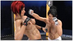 2girls 3d abs athletic athletic_female catfight dead_or_alive female fight fighter fighting fighting_game fighting_ring fighting_stance half_naked kamikaze_aegis mila_(doa) momiji_(ninja_gaiden) ninja_gaiden punching sweat sweatdrop sweating topless topless_female yuri