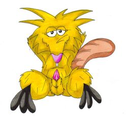 angry_beavers male_only norbert possumlove tagme