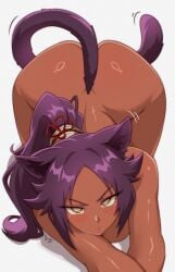 angry bleach cat_ears cat_girl cat_tail catgirl dark-skinned_female dark_skin feline gold_eyes hair_ornament hairband purple_hair shihouin_yoruichi vizaz