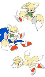 color fox fur furry furry_only furry_tail hedgehog interspecies male male_only multiple_males multiple_tails sonic_(series) sonic_the_hedgehog tail tails yaoi zehn