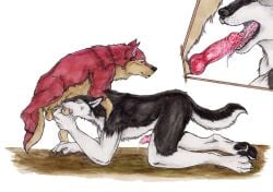 2017 anatomically_correct anatomically_correct_genitalia animal_genitalia animal_penis anthro anthro_on_feral anthro_penetrated balls black_body black_fur black_nose bodily_fluids canid canine canis claws close-up cum cum_in_mouth cum_inside cutaway deep_throat drinking drinking_cum duo ejaculation erection face_mounting fellatio feral feral_penetrating feral_penetrating_anthro fur genital_fluids genitals knot knotting kola_(artist) male male/male mammal multicolored_body multicolored_fur nude nude_anthro oral oral_knotting oral_penetration pawpads penetration penile penis penis_in_mouth raised_leg red_body red_fur red_penis sex sheath simple_background sucking tail teeth tongue traditional_media_(artwork) two_tone_body two_tone_fur wolf zoophilia