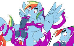 anal_insertion autofellatio blue_fur color erection fellatio friendship_is_magic fur haiku hair insertion male multicolored_hair my_little_pony oral oral_insertion pegasus penis pony rainbow_blitz_(mlp) rainbow_dash_(mlp) rainbow_hair rule_63 sexyflipy straight_hair testicles white_background