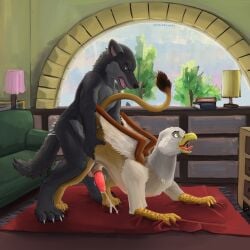 absurd_res anal anal_sex animal_genitalia animal_penis anthro anthro_on_feral anthro_penetrating anthro_penetrating_feral avian balls beak bodily_fluids canid canine canis cum cumshot duo ejaculation erection feathered_wings feathers feral feral_penetrated fur genital_fluids genitals gryphon hi_res inside male male/male male_penetrated male_penetrating male_penetrating_male mammal mythological_avian mythological_creature mythology open_mouth penetration penile penile_penetration penile_spines penis sex sheath spruceloops tail vein veiny_penis wings wolf zoophilia