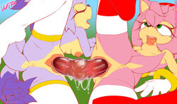 amy_rose anthro blaze_the_cat breasts clothing dildo double_dildo duo female female_only legwear mammal nipples open_mouth pussy sex_toy smile socks sonic_(series) tc thigh_highs thighhighs tongue vaginal_penetration work_in_progress yuri