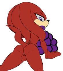 ass balls dreadlocks food fruit fur grapes knuckles_the_echidna looking_at_viewer male male_only pantygremlin purple_eyes red_fur short_tail solo sonic_(series) thick_thighs