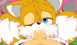 anthro big_ears big_penis blue_eyes canine cum cum_in_mouth cum_inside cum_on_face ejaculation footwear fox furry gay looking_at_viewer male mammal one_eye_closed oral penis sega shoes sonic_(series) sonic_the_hedgehog tails tc veiny_penis work_in_progress yaoi