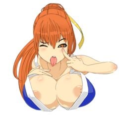 dead_or_alive ein457 huge_breasts kasumi_(doa) ponytail tied_hair