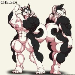 1:1 2015 abs anthro ass biceps black_body black_fur black_nose breasts canid canine canis chelsea_(deonwolf) deonwolf domestic_dog english_text female fur genitals hair heterochromia hi_res husky long_hair mammal model_sheet muscular muscular_anthro muscular_female nipples nordic_sled_dog nude open_mouth pussy raised_tail solo spitz tail text white_body white_fur white_hair wide_hips