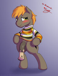 1boy blush cutie_mark equine flaccid hi_res horse male male_only my_little_pony original_character penis pony skipsy solo sweater umber