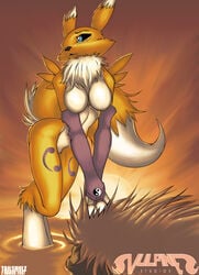 2007 blue_eyes digimon female furry gloves renamon tagme tail tailsrulz