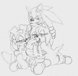 amy_rose anthro cream_the_rabbit fellatio female fur hedgehog male mammal oral ravnic sonic_(series) sonic_the_hedgehog straight