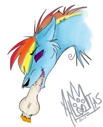 alxias friendship_is_magic my_little_pony rainbow_dash_(mlp) smooth_skin tagme