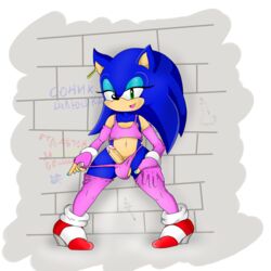 sonic the hedgehog from sega by jetfrozen