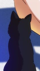 animated ass ass_focus back_view bikini bleach dance drakonaskar golden_bikini heels inoue_orihime patreon shadowcat shihouin_yoruichi tagme twerk twerking video