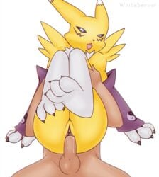 arm_warmers camera canine claws digimon female fox human mammal paws renamon sex whiteserval