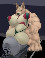 animal_genitalia animal_penis anthro balls big_balls big_breasts big_feet big_muscles big_nipples breasts canine canine_penis claws closed_eyes corgi dickgirl digitigrade extreme_muscles furry futanari huge_balls huge_breasts hyper hyper_balls hyper_penis hyper_sheath intersex macro mammal muscular muscular_arms muscular_legs nipples partially_sheathed pawpads paws penis sheath shortstack small_image thick_thighs tongue trailer truck_bed wessi_breithuft_(xatanlion) xatanlion