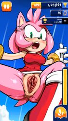 amy rose from sega by marthedog