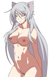 animal_ear bakemonogatari black_hanekawa breasts cat_ears grey_hair hanekawa_tsubasa long_hair monogatari_(series) nipples nude pussy uncensored yellow_eyes