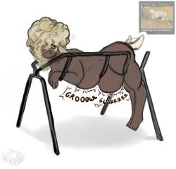 Belly Rule 34 Image