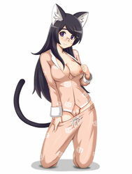 bakemonogatari black_hanekawa cat_ears cat_tail female hanekawa_tsubasa large_breasts long_hair monogatari_(series) nekomimi nipples one_breast_out pussy showing simple_background smile tagme teasing